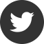 Logo Twitter